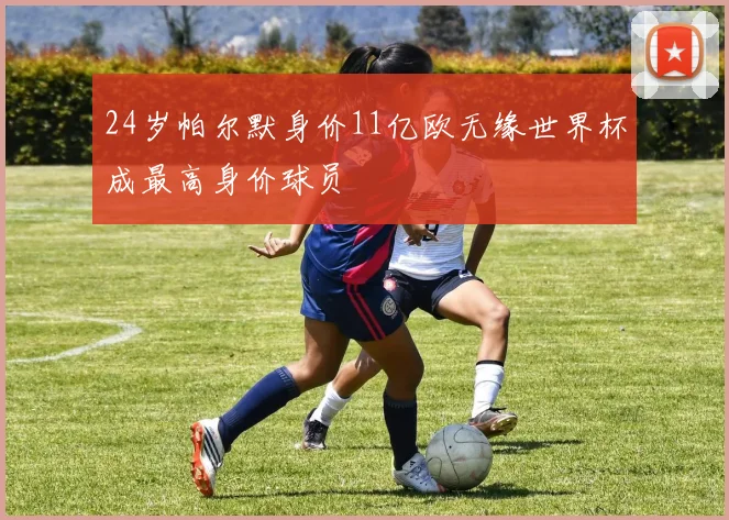 24岁帕尔默身价11亿欧无缘世界杯成最高身价球员